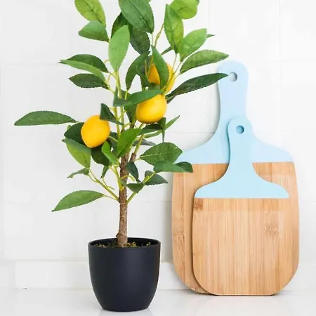 Apartment Downtown Charming - Castelo *