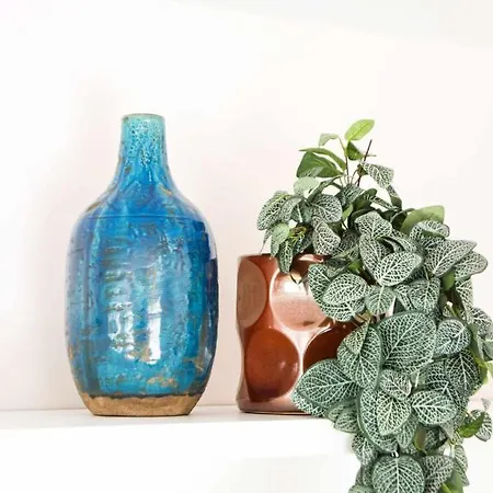 Downtown Charming - Castelo Chaves