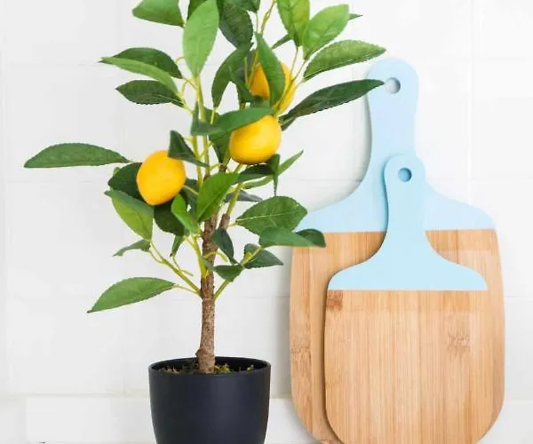 아파트 Downtown Charming - Castelo *